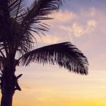 肛珠作弊行为:揭露游戏中的隐秘手段与对策分析 u0f8q0